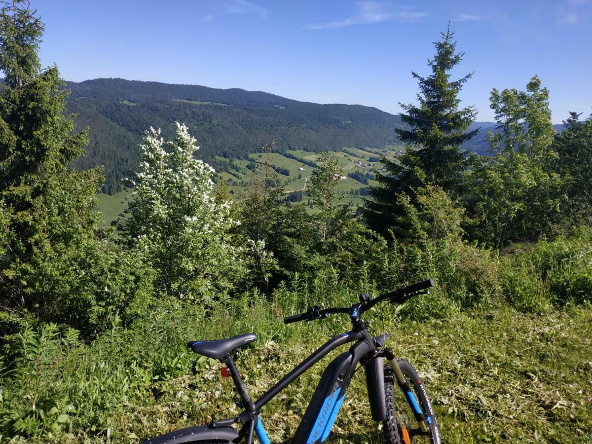 Appartement Les Chamois à Lajoux Extérieur photo