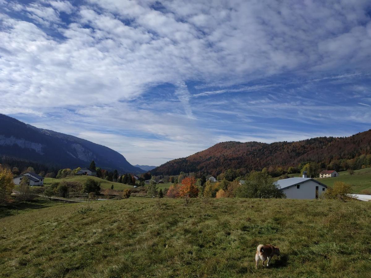 Appartement Les Chamois à Lajoux Extérieur photo